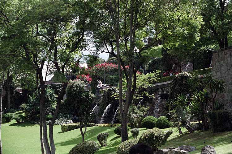 garden